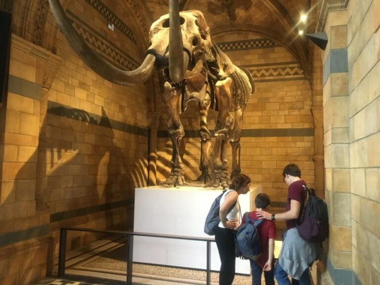 London: Natural History Museum Entry Ticket and Guided Tour - Detailed Breakdown of the Experience