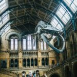 London: Natural History Museum Guided Tour - An In-Depth Look at the Tour Experience