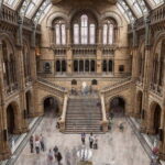 London: Natural History Museum + Guided Tour+ Priority Entry - Practical Tips for Your Visit