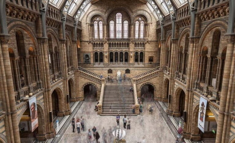 London: Natural History Museum + Guided Tour+ Priority Entry - Practical Tips for Your Visit