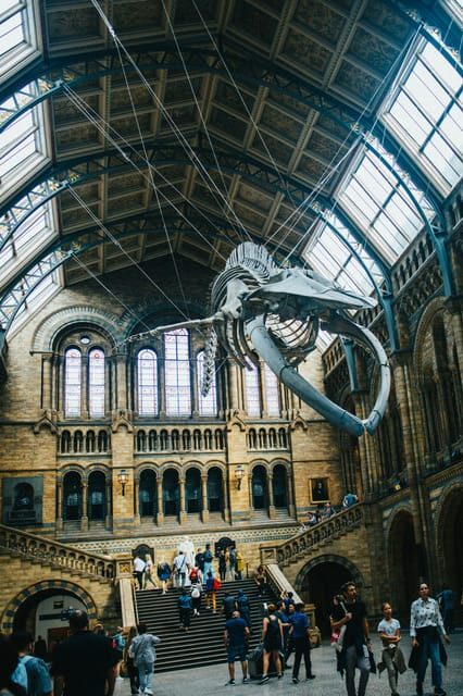 London: Natural History Museum Guided Tour - An In-Depth Look at the Tour Experience