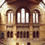 London Natural History Museum Private Tour for Kids & Families - What Makes This Tour Stand Out?