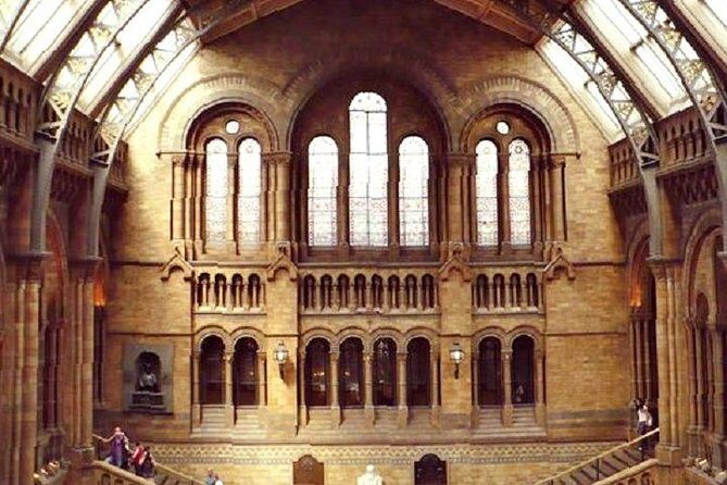 London Natural History Museum Private Tour for Kids & Families - What Makes This Tour Stand Out?