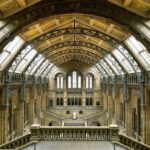 London: Natural History Museum Tour - Iconic Exhibits and Their Significance