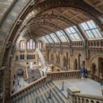 London: Royal Kensington Guided Walking Tour - Practical Details and Tips