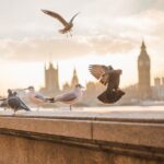 London Scavenger Hunt and Highlights Self-Guided Tour - Who Will Appreciate This Tour?