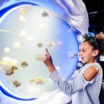 London: SEA LIFE Entry Ticket - The Educational and Interactive Touches