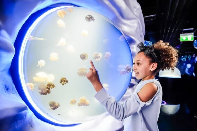 London: SEA LIFE Entry Ticket - The Educational and Interactive Touches