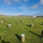 London: Stonehenge and Woodhenge Private Black Cab Tour - A Nearly Perfect Blend of Comfort and Discovery
