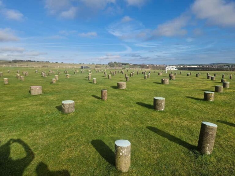 London: Stonehenge and Woodhenge Private Black Cab Tour - A Nearly Perfect Blend of Comfort and Discovery