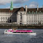 London: Thames River Cruise with Optional London Eye Ticket - The Experience: Comfort, Commentary, and Atmosphere