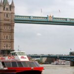 London: Walking Tour, River Cruise and Entry to The Shard - Practical Details and Tips