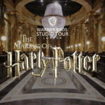 London: Warner Bros. Studio Harry Potter Tour & Branded Bus - Who Should Consider This Tour?