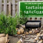 Long Island Farm & Vanderbilt Planetarium Tour | Kids 50% Off - Practical Considerations