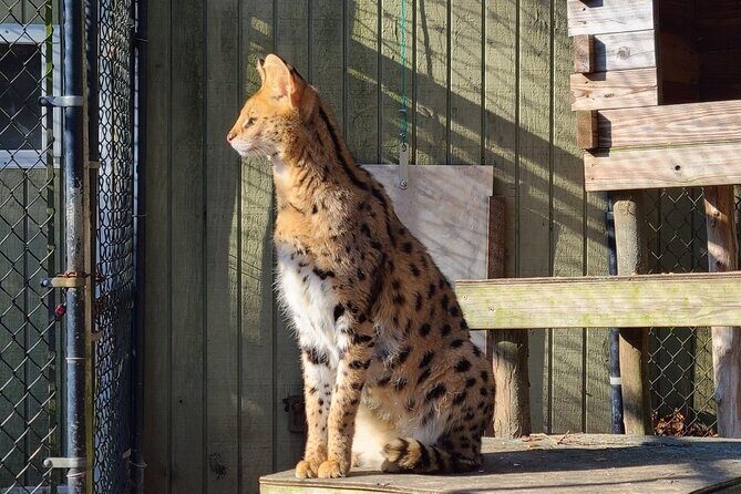 Long Island Farm & Wildplay Jones Beach Tour | Kids 50% Off - Who Should Consider This Tour?
