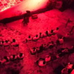 Lorencillo... Una leyenda de piratas - A Detailed Look at the Pirate Show Experience