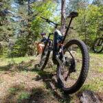 Lorica: e-bike rental - The Perfect Day with an E-Bike in Sila National Park