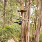 Lorne: Live Wire Park Super Circuit Ticket - Final Thoughts