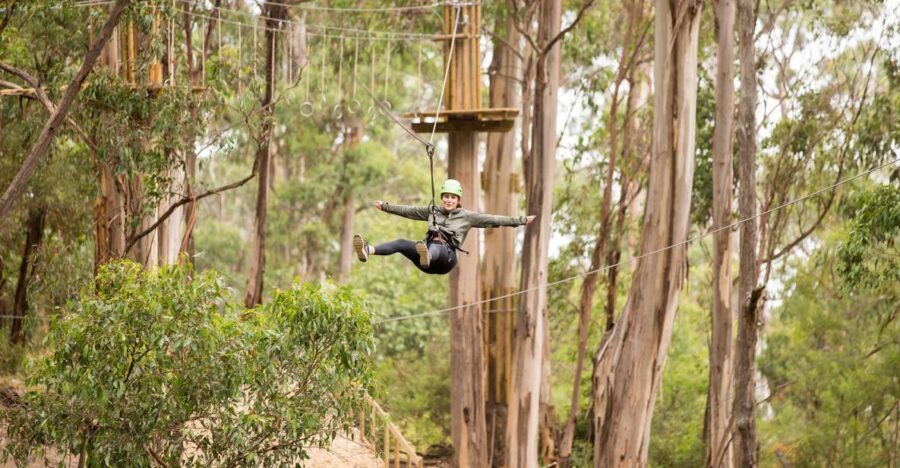 Lorne: Live Wire Park Super Circuit Ticket - Final Thoughts