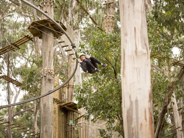 Lorne: Live Wire Park Ticket with Zip Line Rollercoaster - The Sum Up