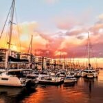 Los Angeles #1: Luxury Boat Cruise-Wine, Cheese & Sea Lions - Who Should Consider This Tour?
