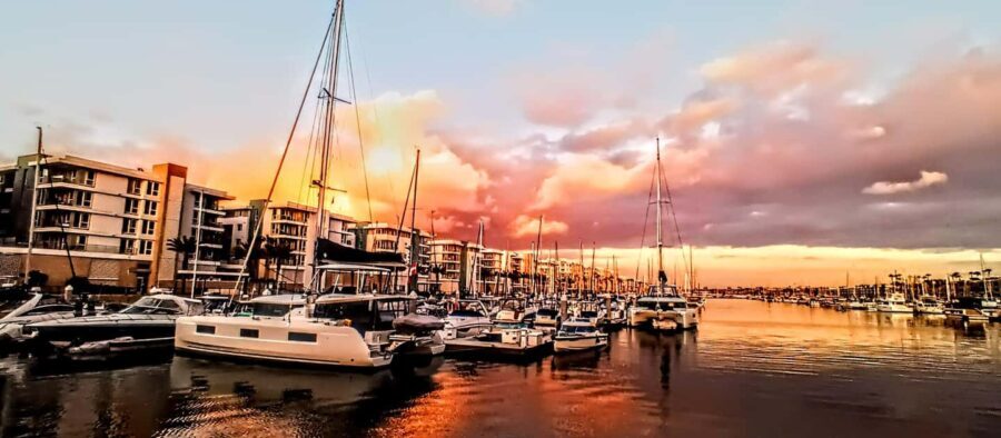 Los Angeles #1: Luxury Boat Cruise-Wine, Cheese & Sea Lions - Who Should Consider This Tour?