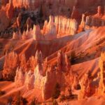Los Angeles: 10-Day Yellowstone National Park Round Tour - What We Loved About This Tour
