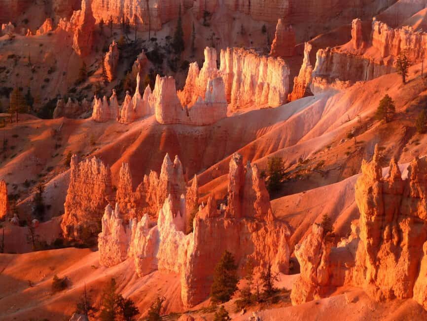 Los Angeles: 10-Day Yellowstone National Park Round Tour - What We Loved About This Tour