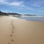 Los Angeles: 2-Day Private Surf Tour with Lunch - What to Expect in Terms of Experience