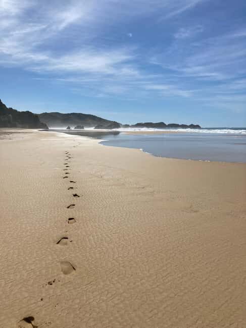 Los Angeles: 2-Day Private Surf Tour with Lunch - What to Expect in Terms of Experience