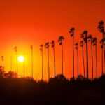 Los Angeles: 7-Hours City & Beach Tour With Hotel Pick Up - A Deep Dive into the LA Experience