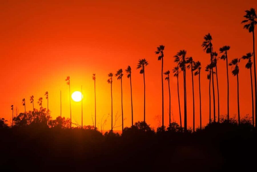 Los Angeles: 7-Hours City & Beach Tour With Hotel Pick Up - A Deep Dive into the LA Experience