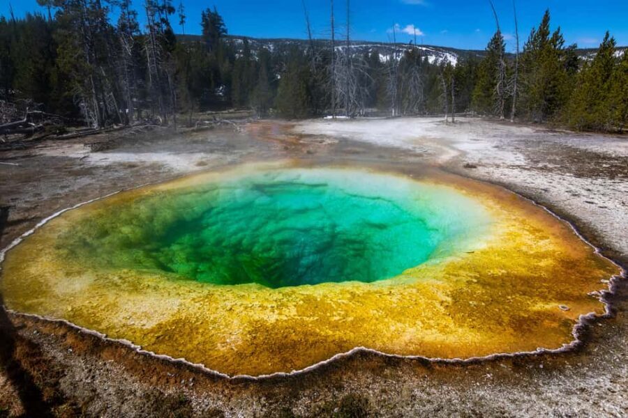 Los Angeles: 8-Day Antelope and Yellowstone Tour - The Value of the Tour