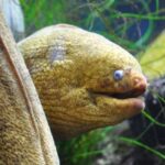 Los Angeles: Heal The Bay Aquarium in Santa Monica - The Sum Up