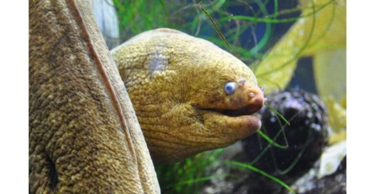 Los Angeles: Heal The Bay Aquarium in Santa Monica - The Sum Up