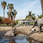 Los Angeles: La Brea Tar Pits Museum Ticket - An In-Depth Look at the La Brea Tar Pits Museum Experience