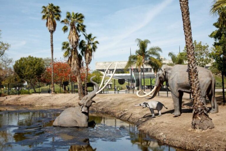 Los Angeles: La Brea Tar Pits Museum Ticket - An In-Depth Look at the La Brea Tar Pits Museum Experience