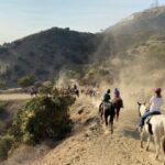 Los Angeles: Mulholland Trail Horseback Riding Tour - Why This Tour Is Worth It