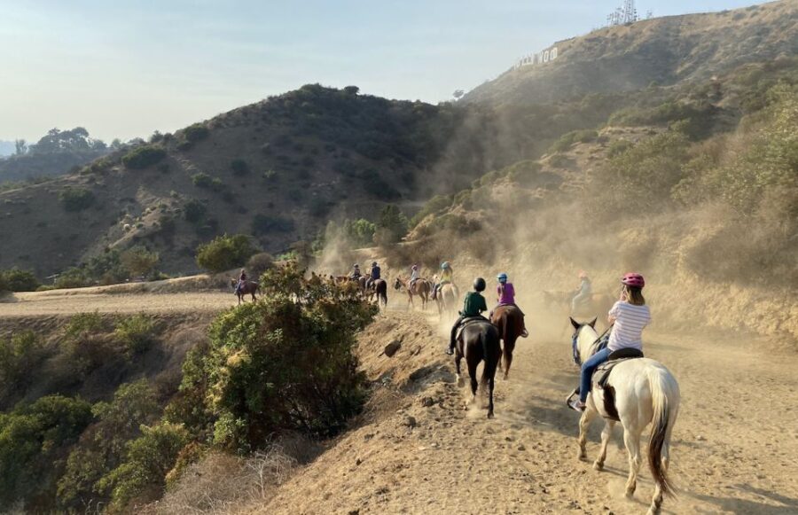 Los Angeles: Mulholland Trail Horseback Riding Tour - Why This Tour Is Worth It