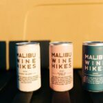 Los Angeles: Private 4x4 Vineyard Tour in Malibu - The Experience: What Travelers Are Saying