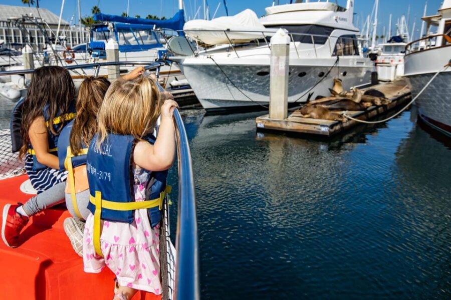 Los Angeles: Redondo Beach Glass Bottom Boat Cruise - A Closer Look at This Redondo Beach Experience
