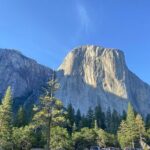 Los Angeles to San Francisco and Yosemite Three Day Tour - Practical Details and Value