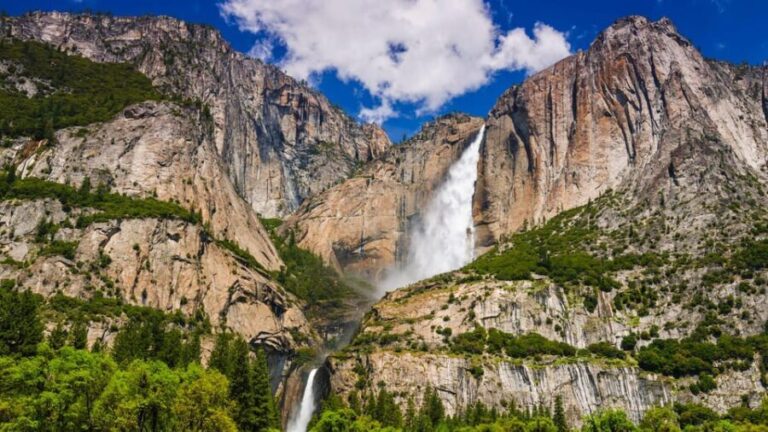 Los Angeles: Yosemite and Sequoia National Parks 2-Day Trip - Why This Tour Offers Great Value