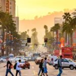 Los Angles: Private Customized Day Tour with Driver - A Deep Dive into the LA Private Day Tour