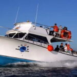 Los Cabos: 3-Hour Introductory Scuba Diving Adventure - Authentic Feedback from Participants