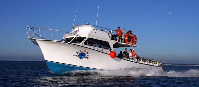 Los Cabos: 3-Hour Introductory Scuba Diving Adventure - Authentic Feedback from Participants