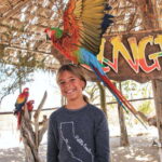 Los Cabos: Animal Encounter & Aqua Park Adventure - A Deep Dive into the Experience: What to Expect