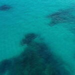 Los Cabos Beach Day Pass Adventure - Final Thoughts: Is It Worth It?