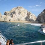 Los Cabos Beginner Scuba Dive Experience - The Sum Up: Is This Tour Right for You?