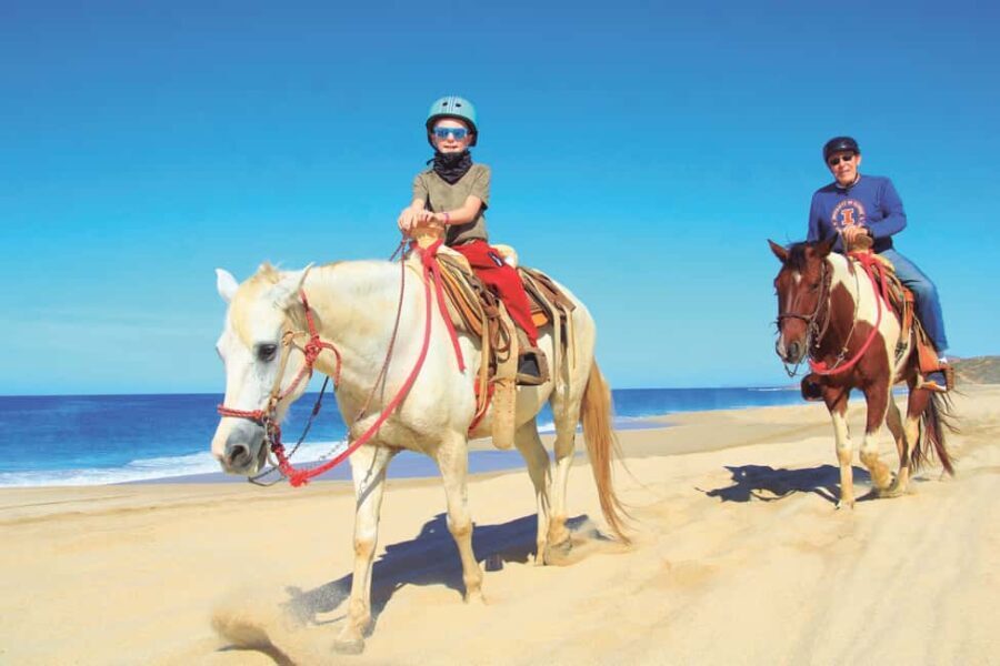 Los Cabos: Cactus Day Pass - FAQ